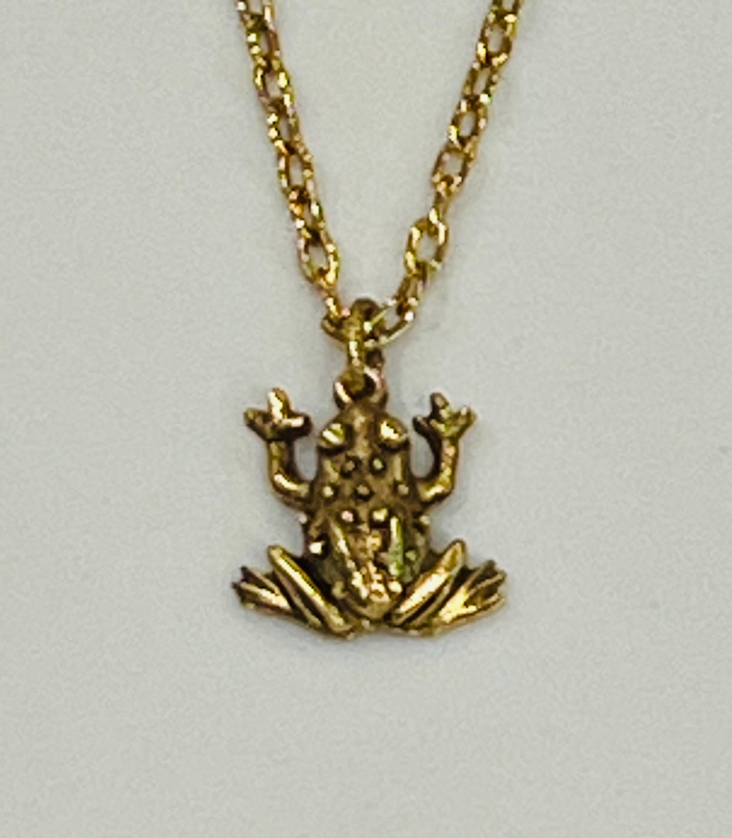 Gold Delicate Paperclip Layering Necklace with Frog Pendant