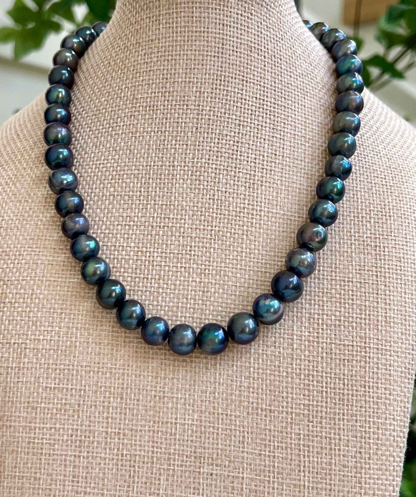 Peacock Pearl Beaded Necklace with 18k Gold Filled Clasp Grade A Peacock Pearl Natural Semi-Precious Gemstones Peacock Freshwater Pearls